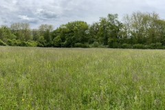 cherpines-autrement.ch-cherpines-autrement.ch-photo1-belle-cour-mai-2021