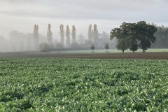 cherpines-autrement.ch-cherpines-autrement.ch-vallon-de-l-aire-octobre-2022