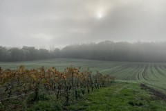 cherpines-autrement.ch-cherpines-autrement.ch-vallon-de-laire-2-octobre-2022