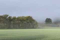 cherpines-autrement.ch-cherpines-autrement.ch-vallon-de-laire-3-octobre-2022