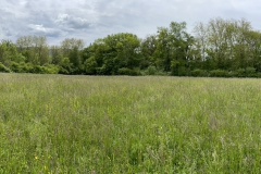 cherpines-autrement.ch-photo1-belle-cour-mai-2021