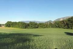 cherpines-autrement.ch-vallon-de-laire-mai4-2020