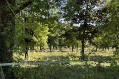 cherpines-autrement.ch-img-4797-img-4797