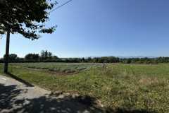 cherpines-autrement.ch-img-4806-img-4806