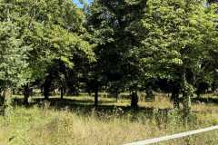 cherpines-autrement.ch-img-4813-img-4813