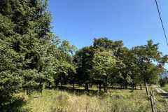 cherpines-autrement.ch-img-4814-img-4814