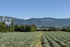 cherpines-autrement.ch-img-4820-img-4820