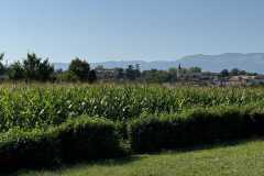 cherpines-autrement.ch-img-4821-img-4821