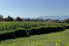 cherpines-autrement.ch-img-4822-img-4822