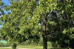 cherpines-autrement.ch-img-4825-img-4825