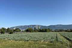 cherpines-autrement.ch-img-4829-img-4829