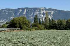 cherpines-autrement.ch-img-4830-img-4830