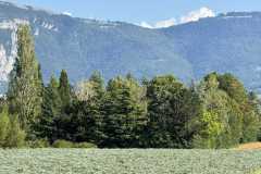 cherpines-autrement.ch-img-4831-img-4831