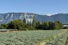 cherpines-autrement.ch-img-4833-img-4833