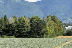 cherpines-autrement.ch-img-4834-img-4834