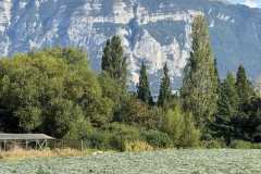 cherpines-autrement.ch-img-4835-img-4835