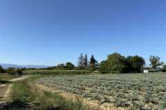 cherpines-autrement.ch-img-4837-img-4837