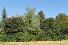 cherpines-autrement.ch-img-4858-img-4858