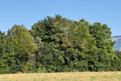 cherpines-autrement.ch-img-4859-img-4859