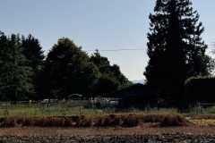 cherpines-autrement.ch-img-4866-img-4866