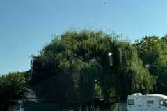 cherpines-autrement.ch-img-4867-img-4867