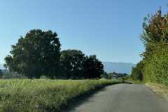 cherpines-autrement.ch-img-4873-img-4873