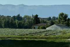 cherpines-autrement.ch-img-4876-img-4876