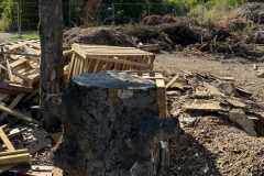 cherpines-autrement.ch-img-4896-img-4896