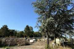 cherpines-autrement.ch-img-4897-img-4897