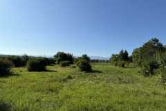 cherpines-autrement.ch-img-4900-img-4900