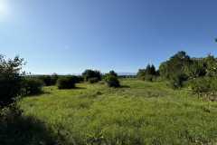 cherpines-autrement.ch-img-4901-img-4901