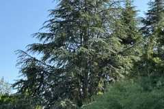 cherpines-autrement.ch-img-4912-img-4912