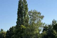 cherpines-autrement.ch-img-4915-img-4915