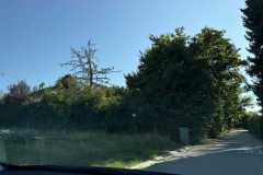 cherpines-autrement.ch-img-4918-img-4918