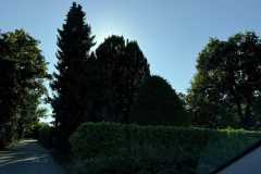 cherpines-autrement.ch-img-4919-img-4919