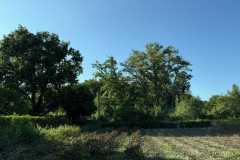 cherpines-autrement.ch-img-4920-img-4920