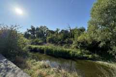 cherpines-autrement.ch-img-4926-img-4926