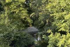 cherpines-autrement.ch-img-4932-img-4932