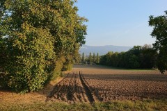 cherpines-autrement.ch-automne-2018-le-vallon-terres-agricoles-1