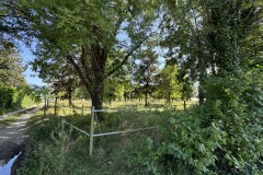 cherpines-autrement.ch-img-4796-img-4796