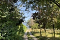 cherpines-autrement.ch-img-4801-img-4801