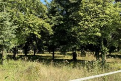 cherpines-autrement.ch-img-4813-img-4813