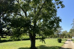 cherpines-autrement.ch-img-4815-img-4815