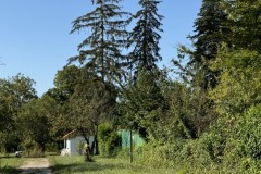 cherpines-autrement.ch-img-4817-img-4817