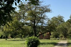 cherpines-autrement.ch-img-4819-img-4819