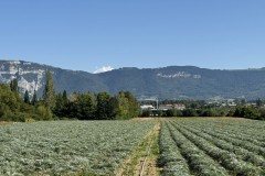 cherpines-autrement.ch-img-4820-img-4820