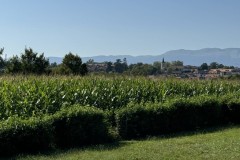 cherpines-autrement.ch-img-4821-img-4821