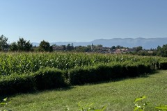 cherpines-autrement.ch-img-4822-img-4822