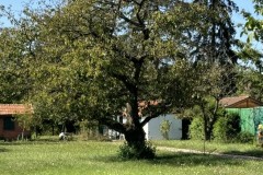 cherpines-autrement.ch-img-4826-img-4826