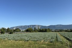 cherpines-autrement.ch-img-4829-img-4829